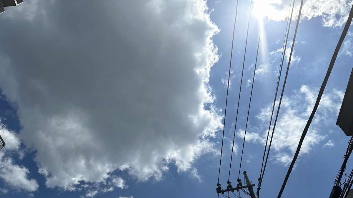 サンドウィッチ・デリュージョン