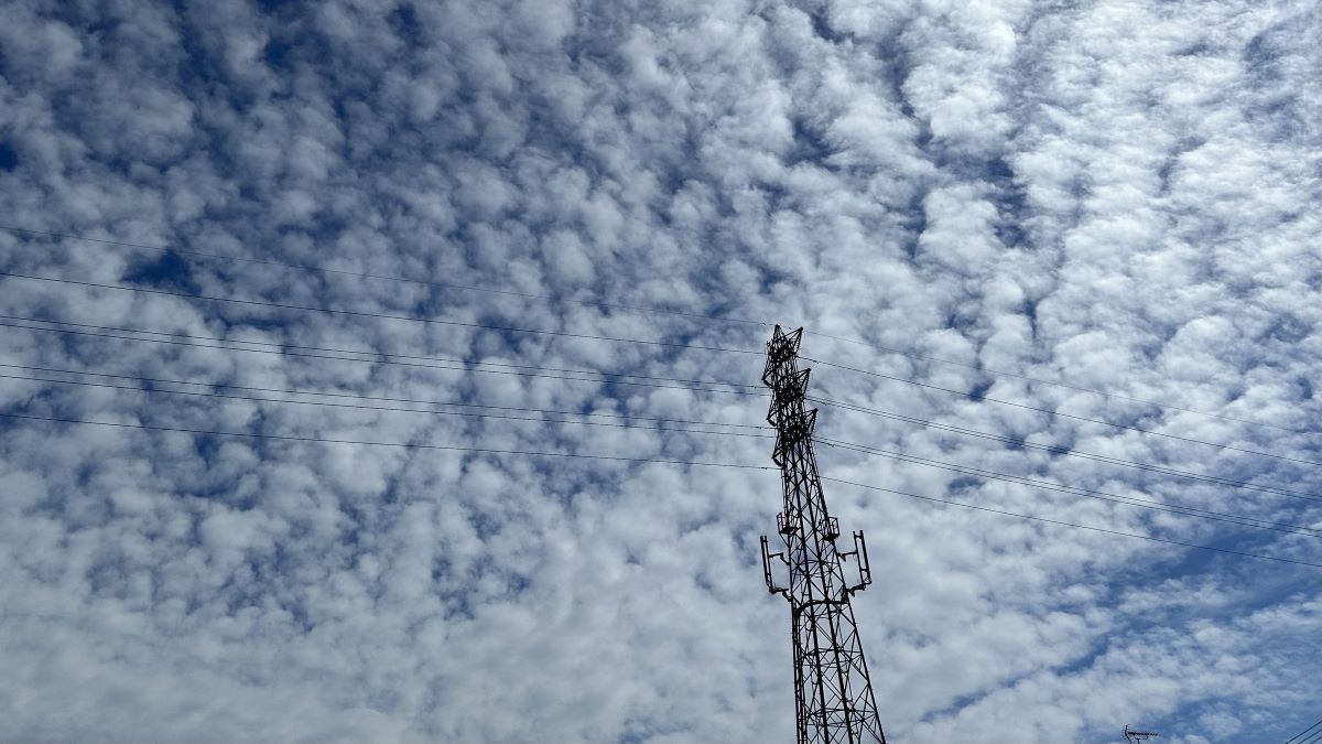 あの夏のチューペット