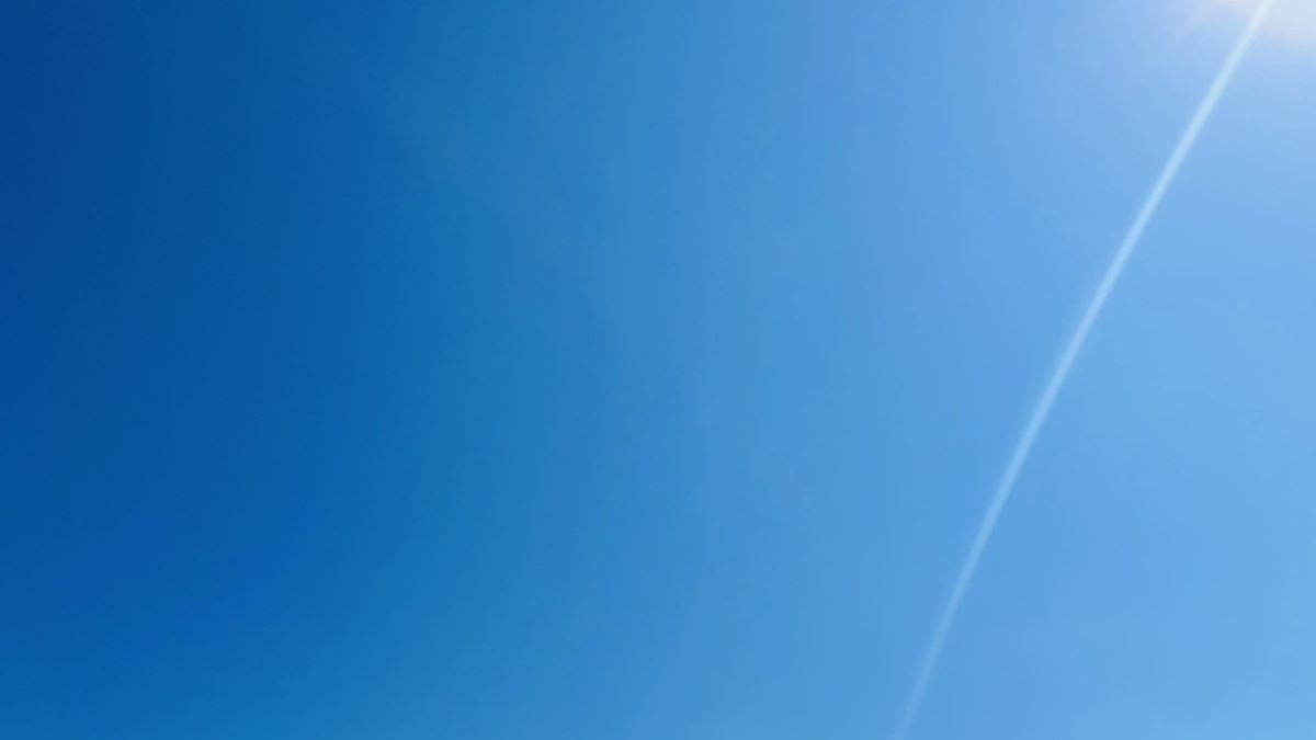 しなやかなうろ覚え