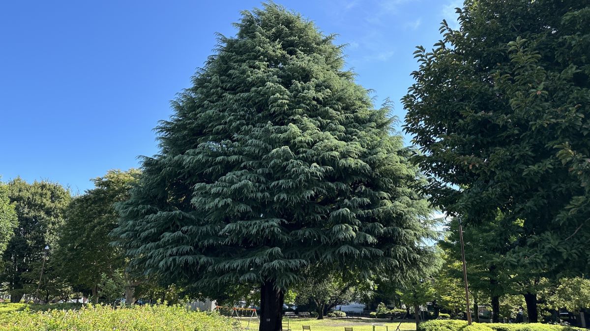 浮かび上がる絵