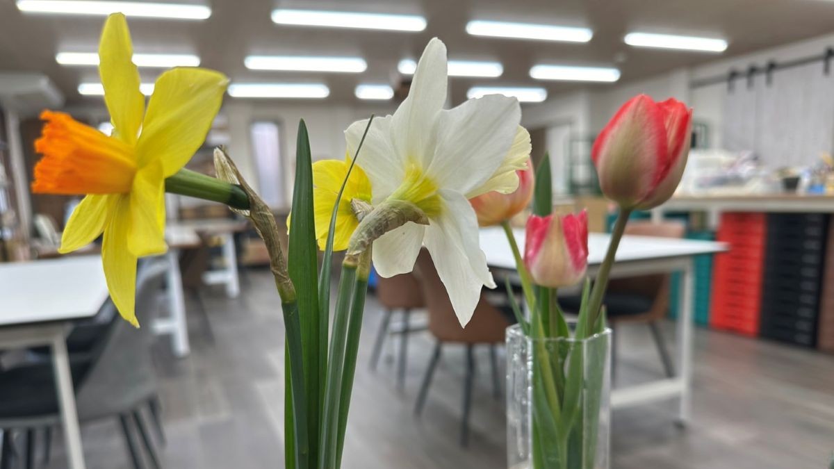 バースデードネーションの御礼